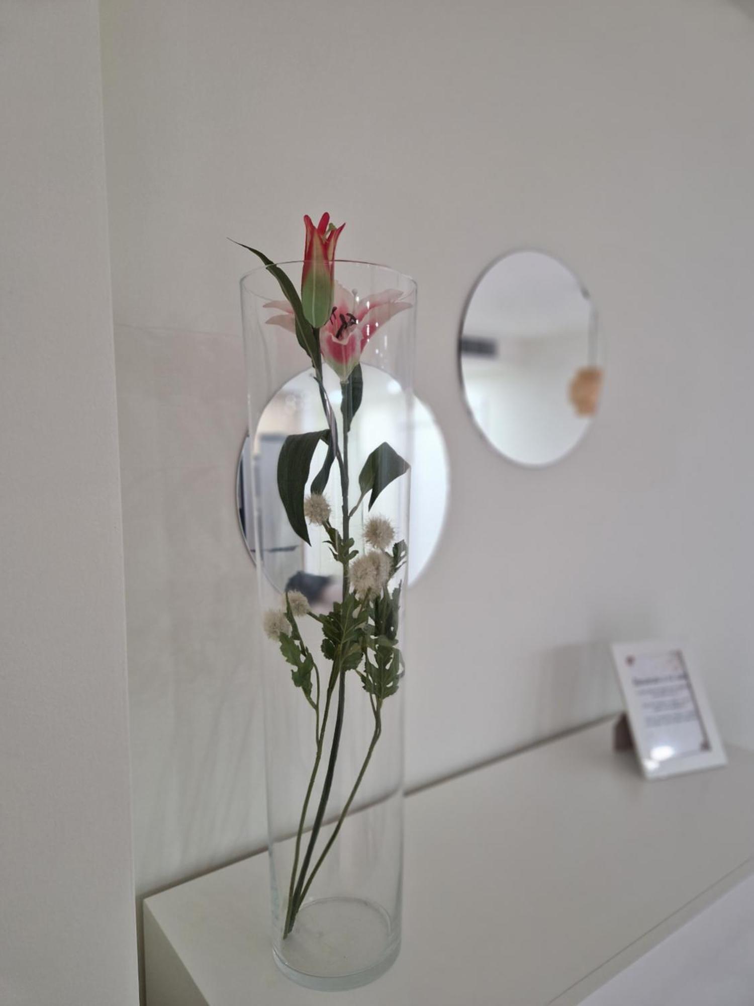 Apartamento V27 バエサ エクステリア 写真